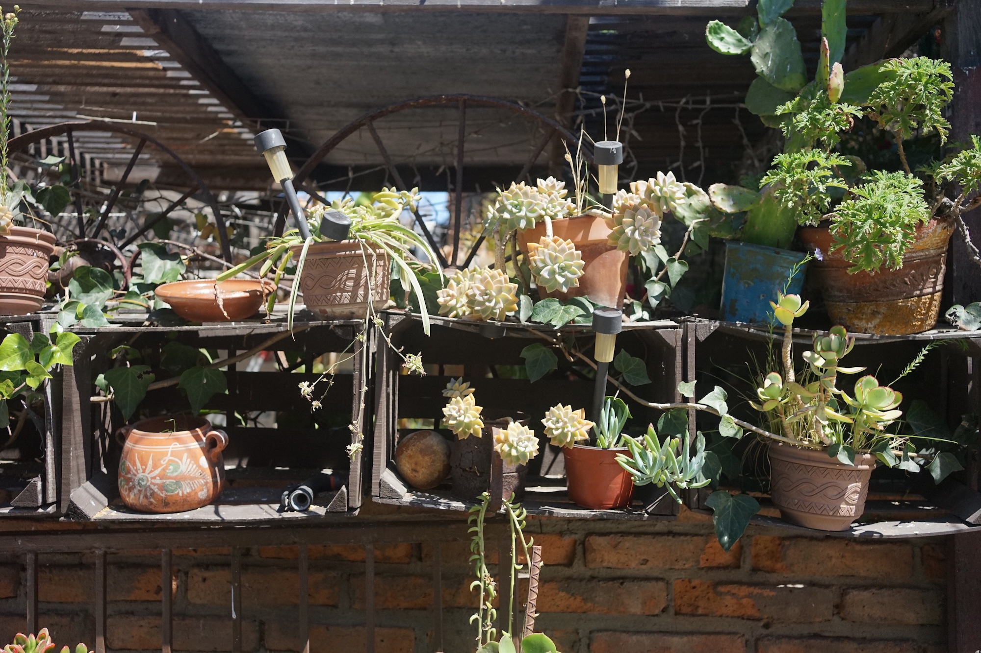 Plant wall