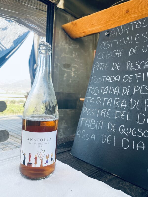 Natural Wine – Rose Natural wine at Anatolia's during a Mutiny Retreat
